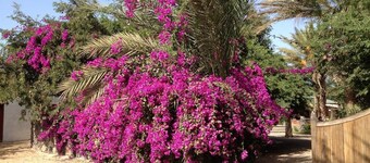 Villa Morabeza Guest House