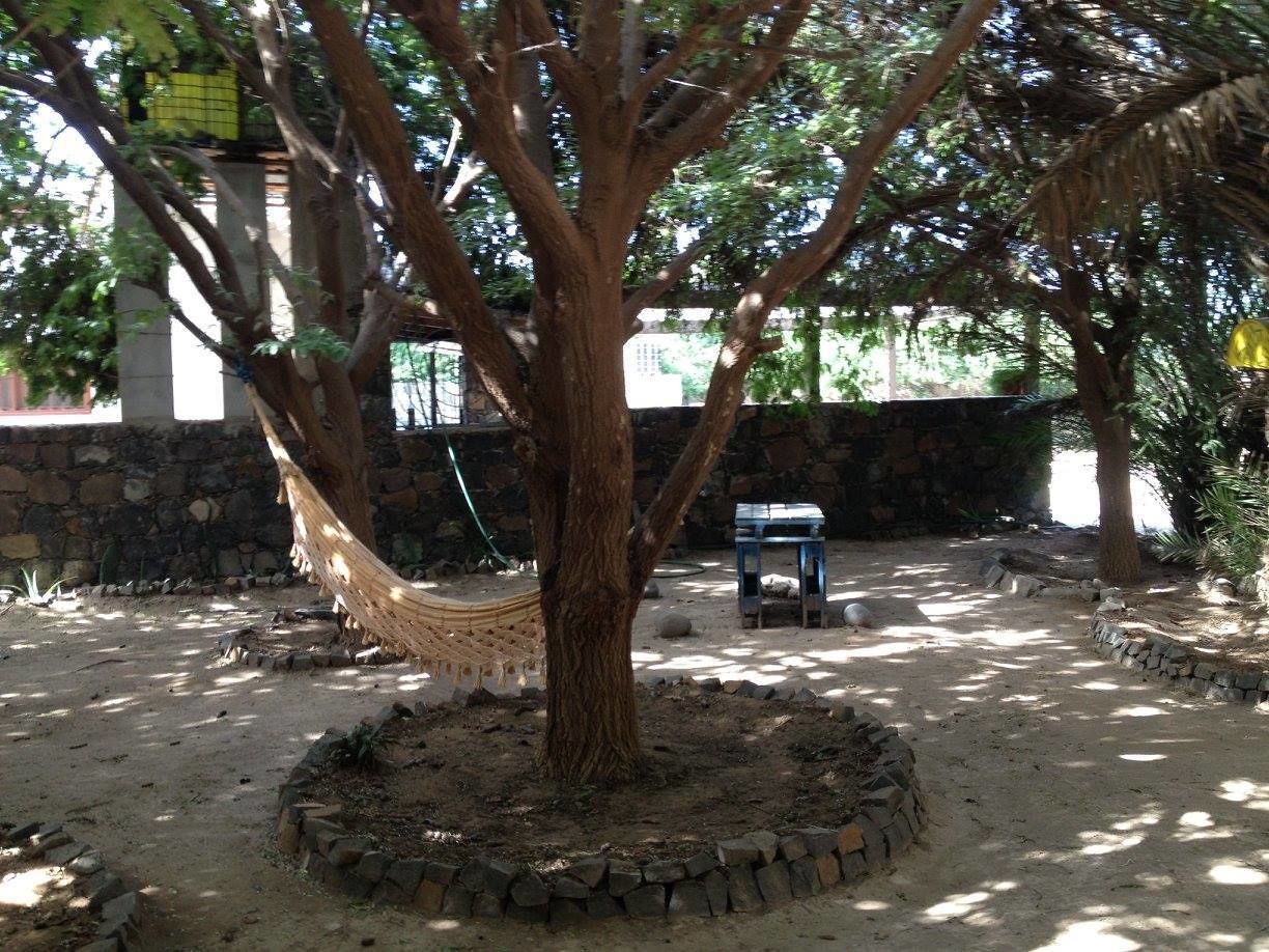 A hammock hanging from a tree in a courtyard with stone walls and a bench.