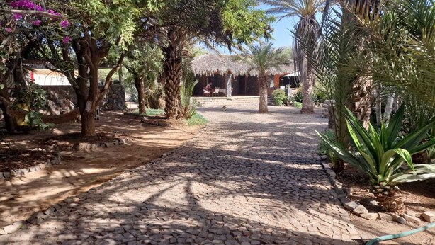 Un sentier pavé de pierres menant à un bâtiment rustique doté d’un toit de chaume, entouré d’une végétation luxuriante et de palmiers.