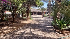 Exterior - Villa Morabeza Guest House (São Vicente)