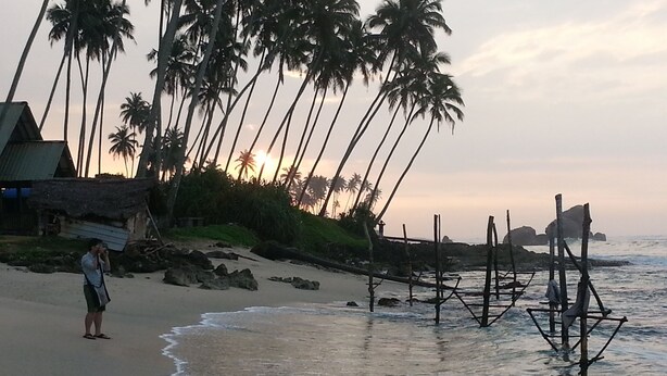 A beach with palm trees, a hut, and wooden structures in the water. - Villa Vidura (Galle)