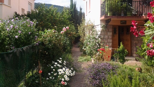 Un estrecho callejón con diversas plantas en flor y un edificio con balcón.