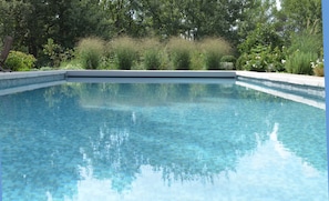 Seasonal outdoor pool, pool umbrellas, sun loungers