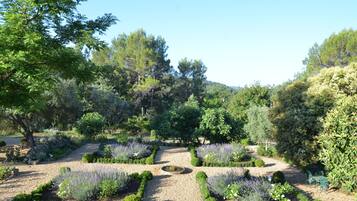 Quang cảnh từ phòng