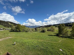 Ländliche Landschaft mit blauem Himmel, grünen Feldern, vereinzelten Bäumen und fernen Bergen.
