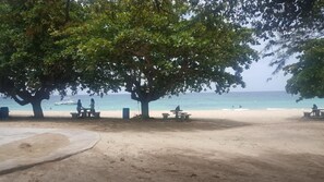 A beach with picnic tables under large trees, a sandy shore, and the ocean in the background.