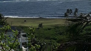 Vista costera con playa, océano y vegetación.