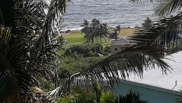 Vista del océano con palmeras al frente y un edificio al fondo.