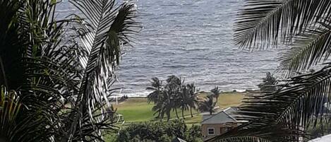 Family Apartment, 2 Katil Kelamin (Double), Non Smoking | Pemandangan pantai/laut