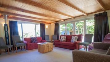 TV connectée, cheminée, lecteur de DVD