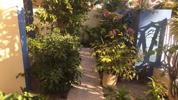 A narrow pathway flanked by potted plants and a blue wall, leading to a building entrance. - Nicole's Guest Home (Higuey)