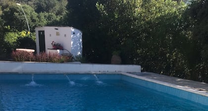 HUTTE-1960 Mediterranes Landhaus mit Garten und Pool auf einem 3 ha großen Grundstück