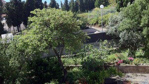 A garden with various plants and trees, a paved area, and a building in the background. - Nice apartment in a character villa next to the sea in Banyuls (Banyuls-Sur-Mer)