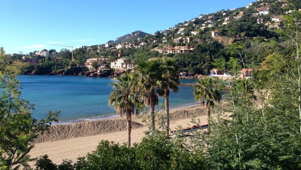 Une vue sur la côte, avec une plage, des palmiers et des bâtiments situés sur une colline.