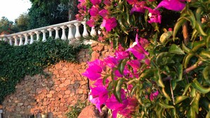 Un mur de pierre surmonté d’une balustrade blanche, agrémenté d’un feuillage verdoyant et de magnifiques fleurs de bougainvillier roses.