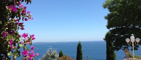 Un balcón con vista al mar, rodeado de buganvillas y otras plantas.