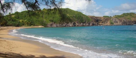 Playa en los alrededores y toallas de playa 