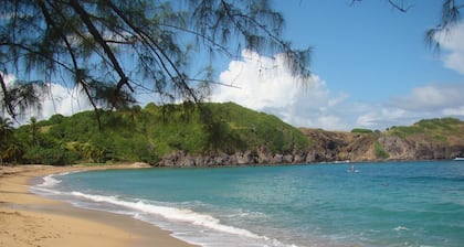 Charmanter Bungalow 30 Meter vom Strand entfernt, 800 m vom Naturpark der Caravelle