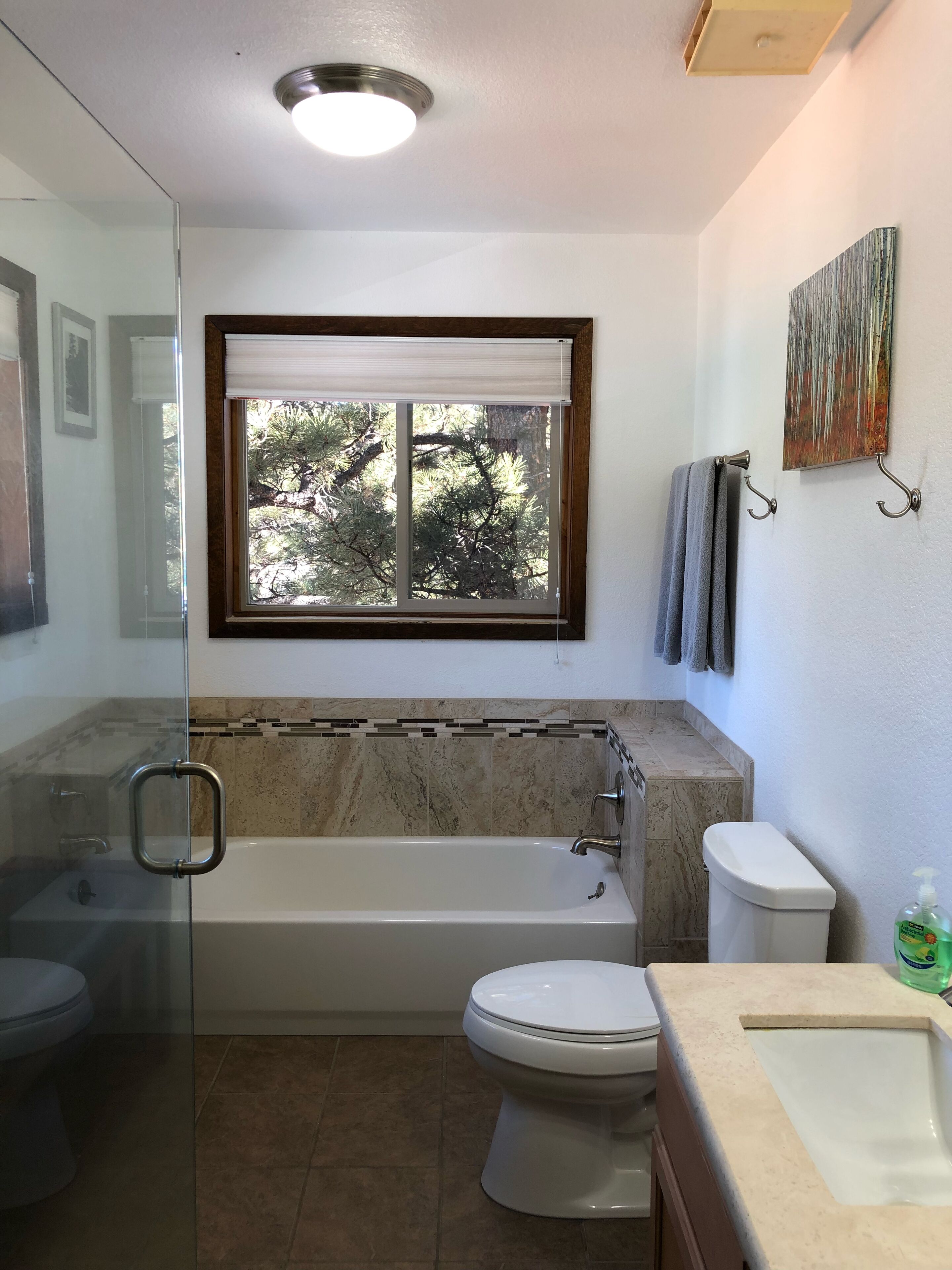 Un bagno con cabina doccia in vetro, vasca da bagno, water e una finestra con vista sugli alberi.