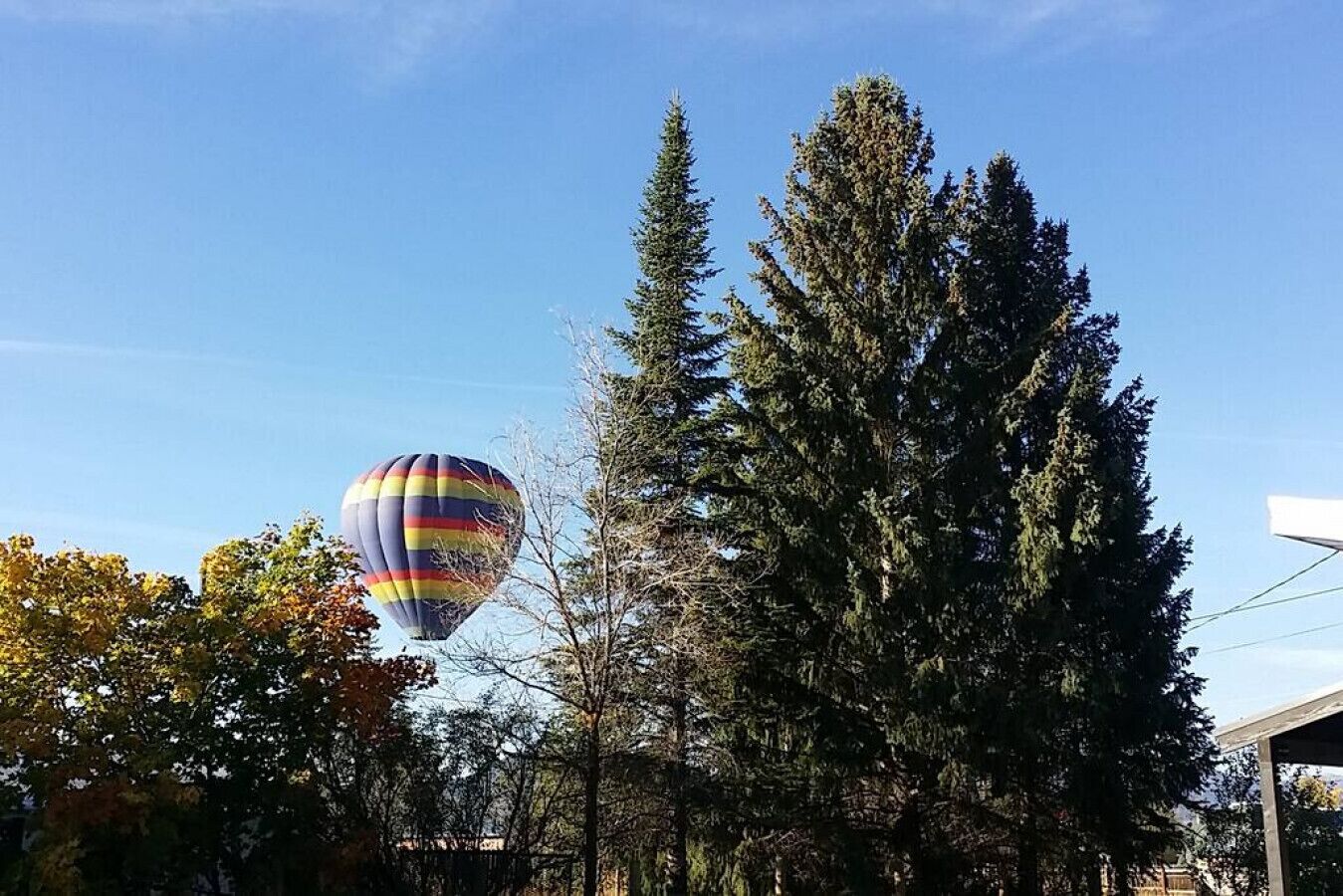 Een luchtballon met een veelkleurig patroon die boven een bebost gebied vliegt.