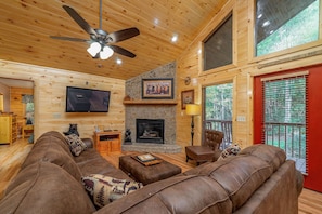Smart TV, fireplace, books