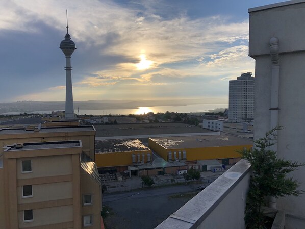 Vista desde la propiedad