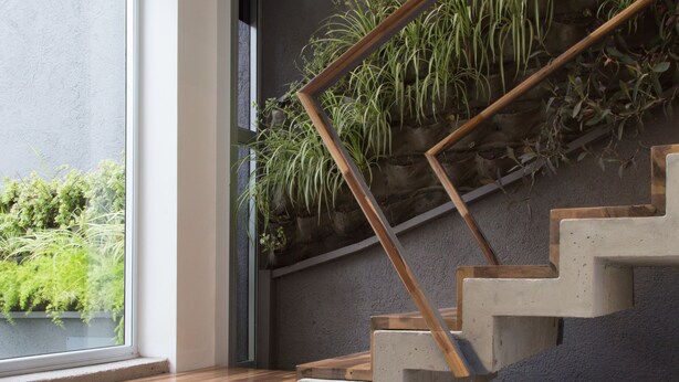 A staircase with wooden steps and a metal handrail, leading up to a wall with a vertical garden. - Ciudad Prado Hotel (Córdoba)