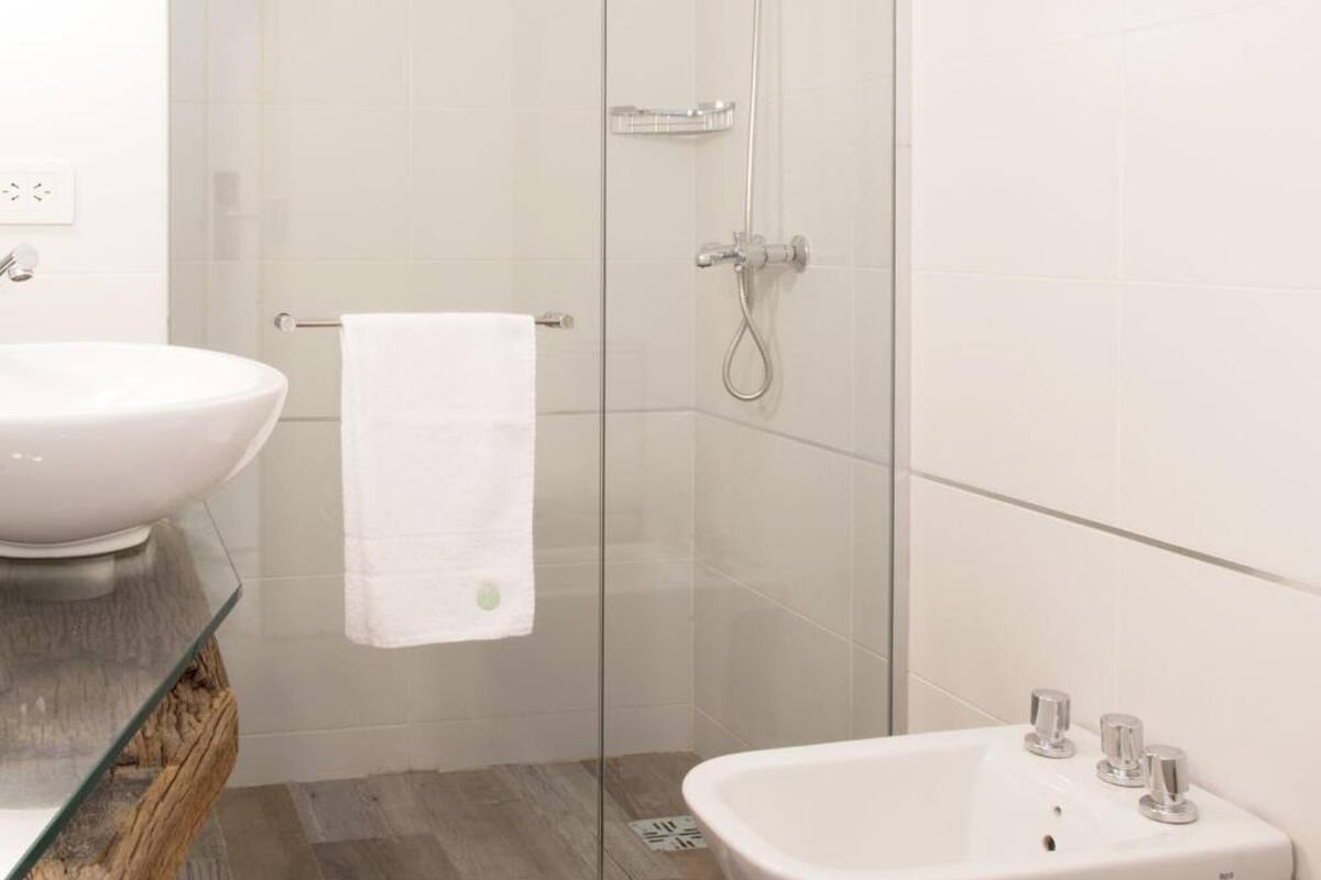 shower, free toiletries, hair dryer, bidet