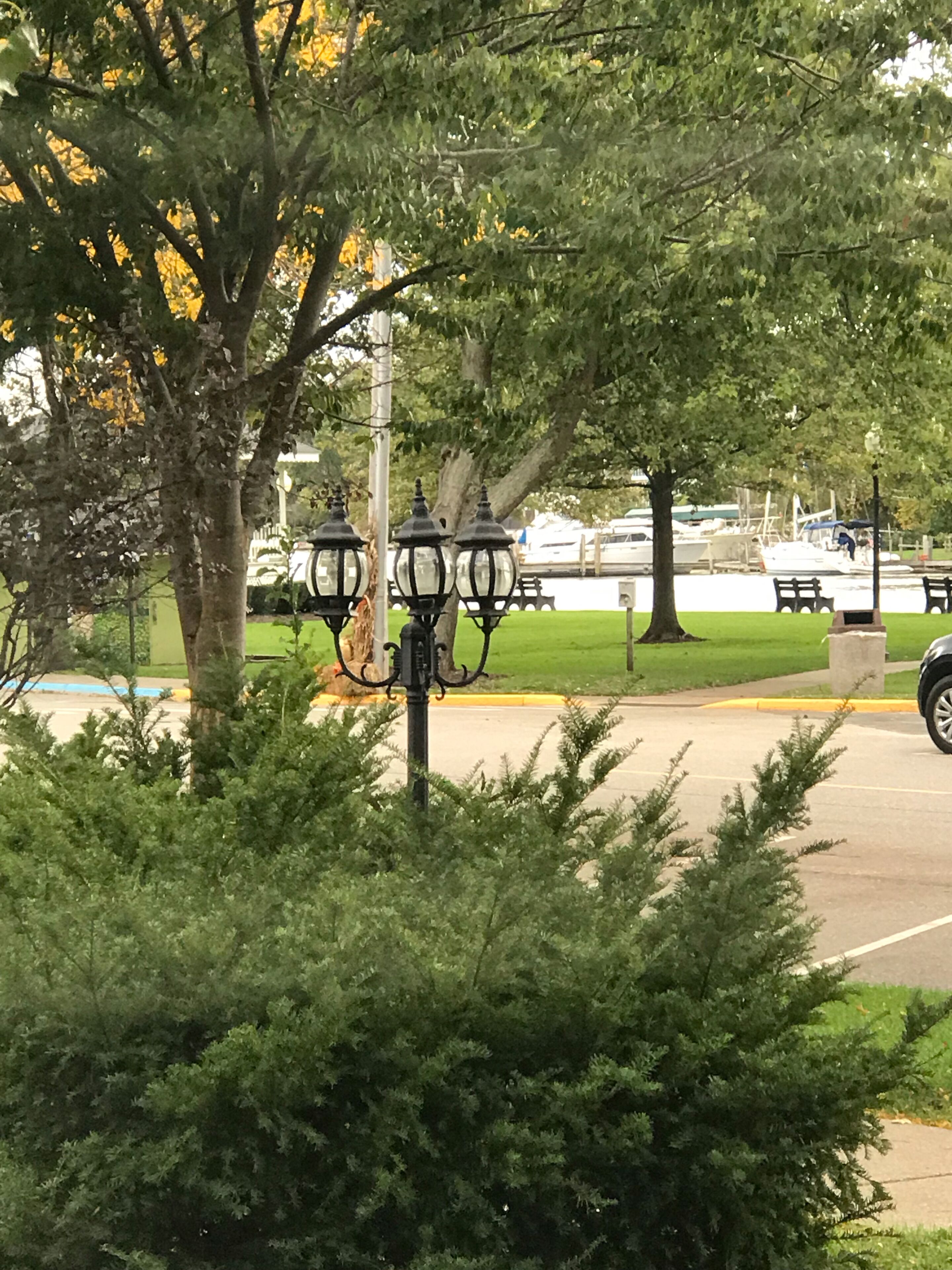 Un parque con un camino pavimentado, bancos y farolas.
