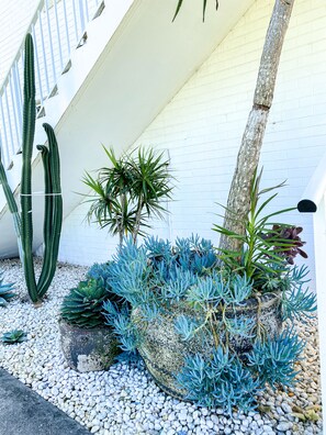 Property grounds - SALT by the Sea - Unit 1 (Port Macquarie)