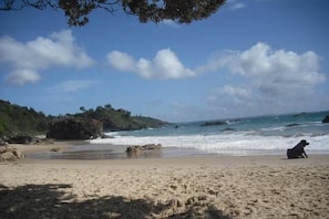 Beach - Nobbys Beach Retreat (Port Macquarie)