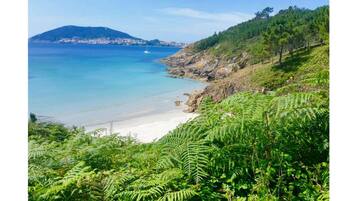 Una spiaggia nelle vicinanze