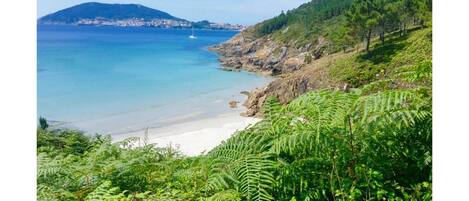 Una spiaggia nelle vicinanze