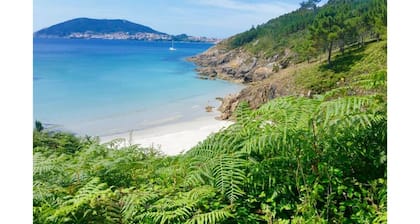 Primera línea playa y rodeado de naturaleza. En el Camino de Santiago.