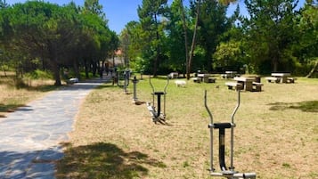 Terrein van de accommodatie