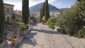 Property grounds - Lovely countryside comfortable quiet villa at only 5min from Pollensa beaches (Pollensa)