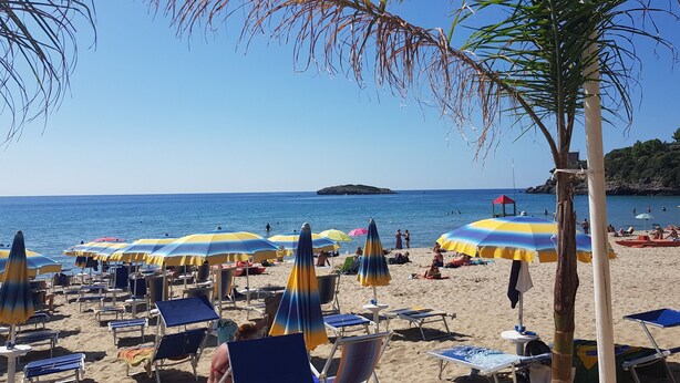 A beach with rows of sun loungers and umbrellas, a clear blue sky, and a distant island. - Cozy Green Kitchen Apartment (marina di camerota)