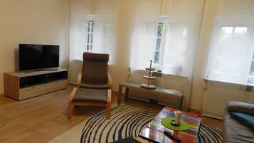 Smart TV, chimenea, reproductor de DVD, libros