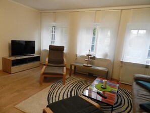 Smart TV, fireplace, DVD player, books