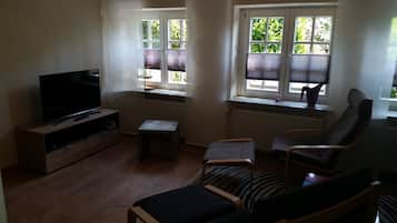 Smart TV, lareira, DVD player, livros