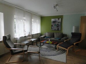 TV connectée, cheminée, lecteur de DVD, livres