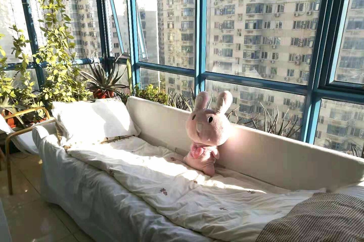 A room with a large window, a sofa, and a stuffed toy.
