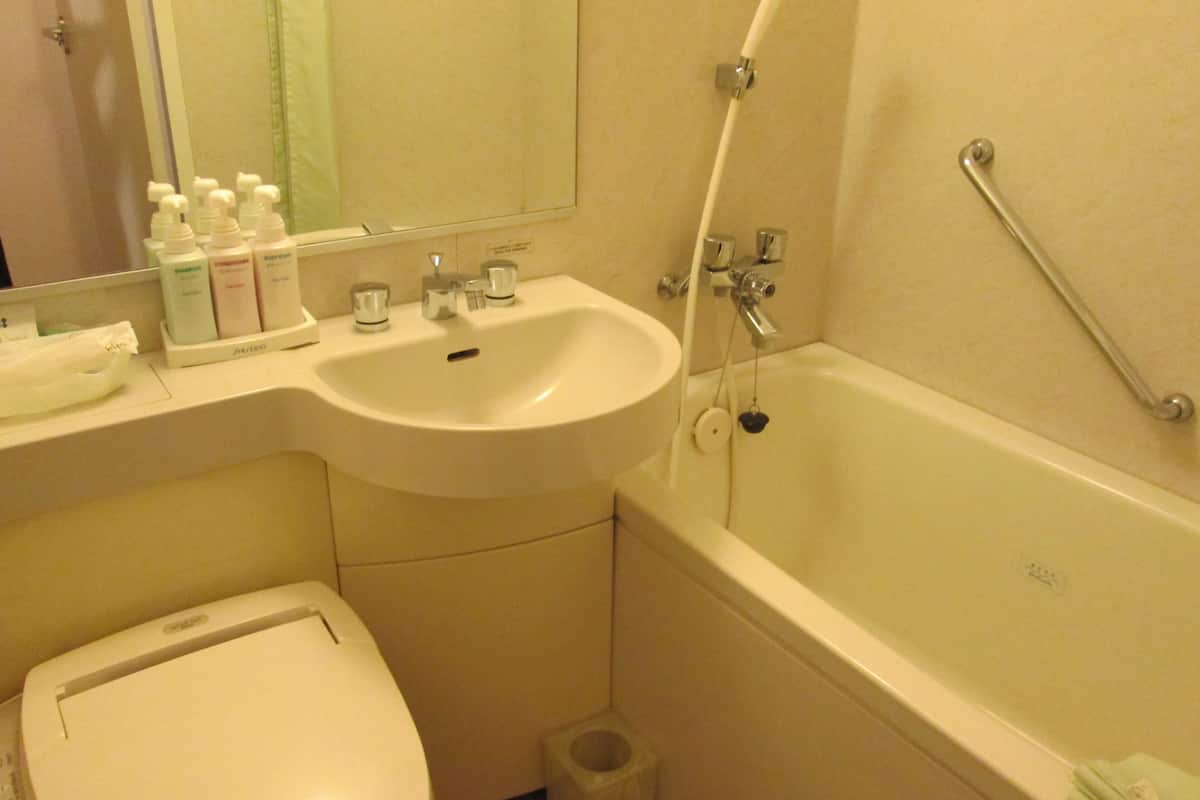 combined shower/bathtub, free toiletries, hair dryer, slippers