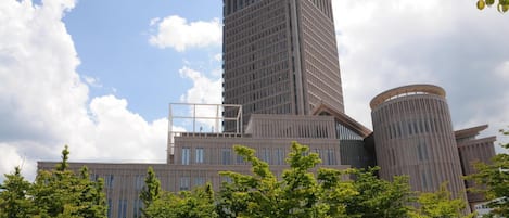 Exteriör