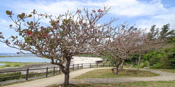 Beach - comfort stay GOYUKKURI (Itoman)