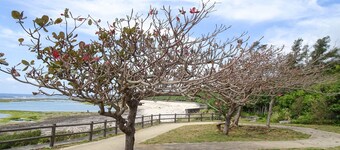 comfort stay GOYUKKURI