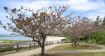 comfort stay GOYUKKURI