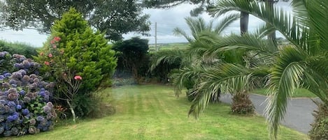 Un jardín bien cuidado con diversas plantas y árboles, un sendero despejado y vistas del paisaje circundante.
