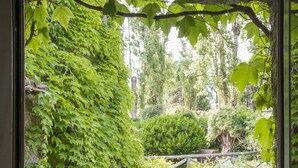A view through a window of a garden with a stone bridge, lush greenery, and a small water feature. - La Cannara (Marta)