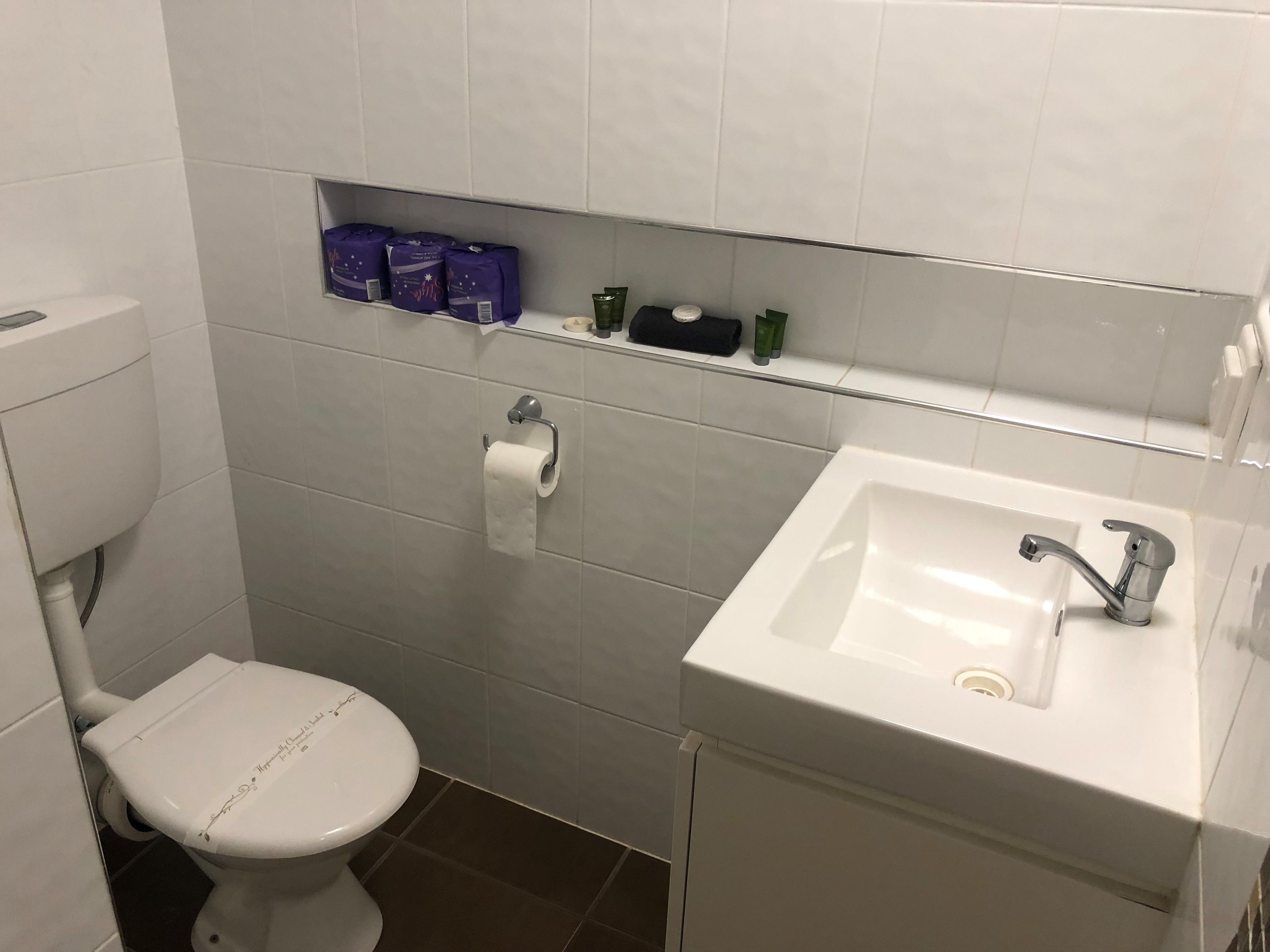 A bathroom with a toilet, a sink, and a shelf with toiletries.